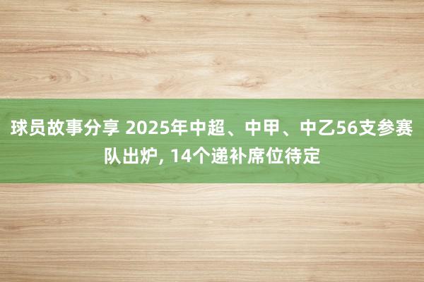 球员故事分享 2025年中超、中甲、中乙56支参赛队出炉, 14个递补席位待定