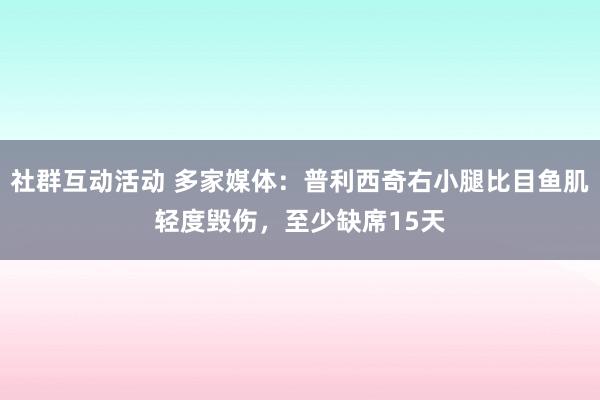 社群互动活动 多家媒体：普利西奇右小腿比目鱼肌轻度毁伤，至少缺席15天